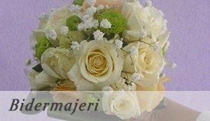 bidermajeri